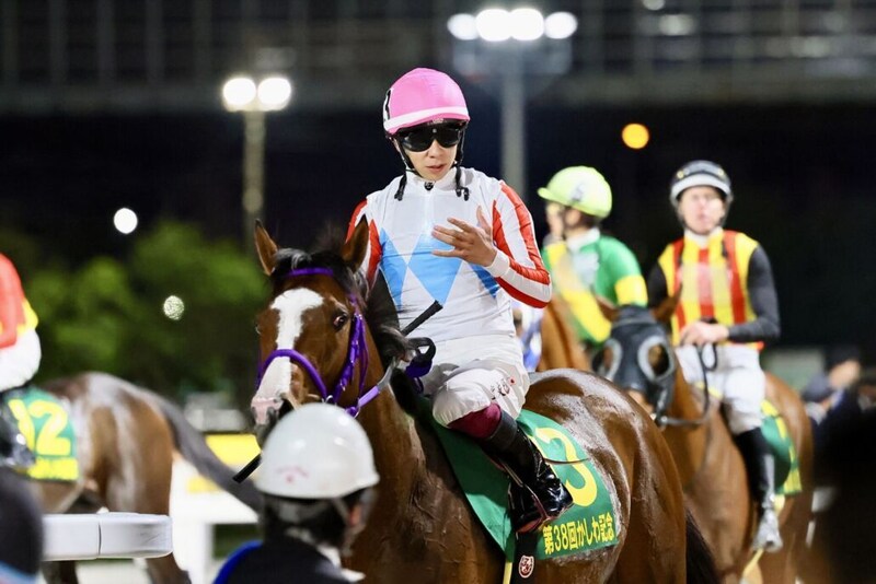 【エルムS登録馬】ダート二冠馬ナチュラルライズなど14頭