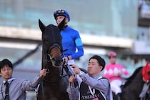【レパードS登録馬】UAEダービー3着・パイロマンサーなど13頭