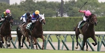 【CBC賞登録馬】連覇かかるインビンシブルパパなど20頭