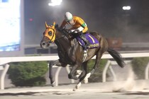 高知史上6頭目の三冠馬誕生！カツテナイオイシサが6連勝で黒潮菊花賞制覇