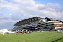 ザ・ジョッキークラブが2026年末で競馬場協会を脱退…アスコットと新組織設立へ