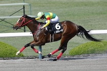 【北海道スプリントカップ】エコロレーヴなどJRA馬は4頭