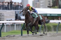 【エルムS】ルクソールカフェが重賞2勝目…連覇狙ったペリエールを差し切る