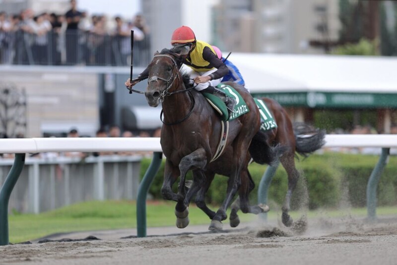 【エルムS】ルクソールカフェが重賞2勝目…連覇狙ったペリエールを差し切る