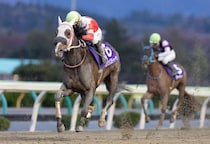 【盛岡・ひまわり賞見どころ】セイクリスティーナが牝馬二冠へ…JRAから転入初戦リケアマカロニも注目