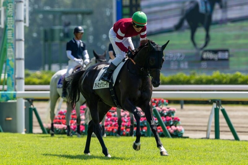 2.8億円ホース・アトミックリーチはデビュー4着…藤田晋オーナー所有、馬名は「麻雀のリーチの極限状態」