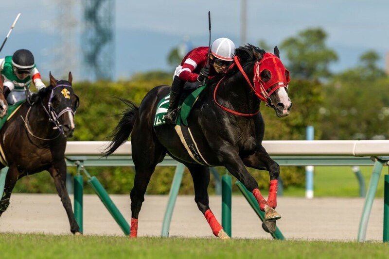 【CBC賞】12番人気フロムダスクが波乱の重賞初制覇…中井裕二騎手も嬉しい初タイトル