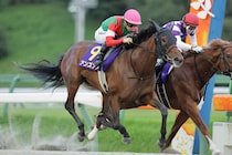 【クラスターC】1番人気アンズアメが測ったような差し切りV…3連勝で重賞初制覇