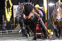 【ばんえい】ヤマカツエースが死亡