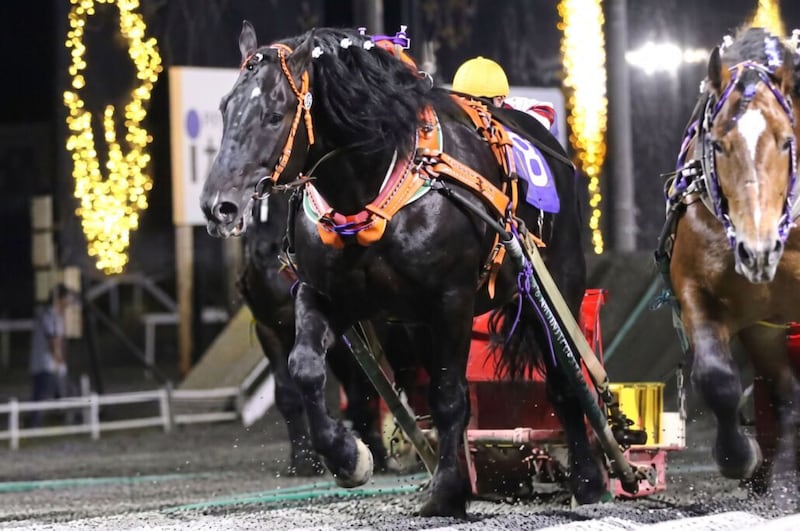 【ばんえい】ヤマカツエースが死亡