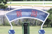 【新馬/新潟3R】単勝1.3倍リボンロードはまさかの5着…モーリス産駒ピコベリーが快勝