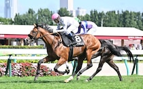 【コスモス賞】サトノダイヤモンド産駒・デアグランツがデビュー2連勝