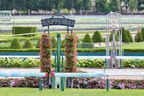 【札幌記念】シェイクユアハートが直線一気の豪快差し切りV…ショウヘイ、アドマイヤテラは失速