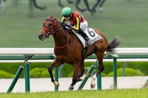 【新潟2歳S登録馬】エフフォーリア産駒インカルナータなど10頭