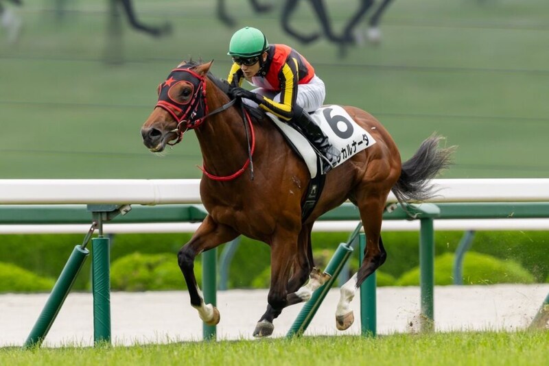 【新潟2歳S登録馬】エフフォーリア産駒インカルナータなど10頭