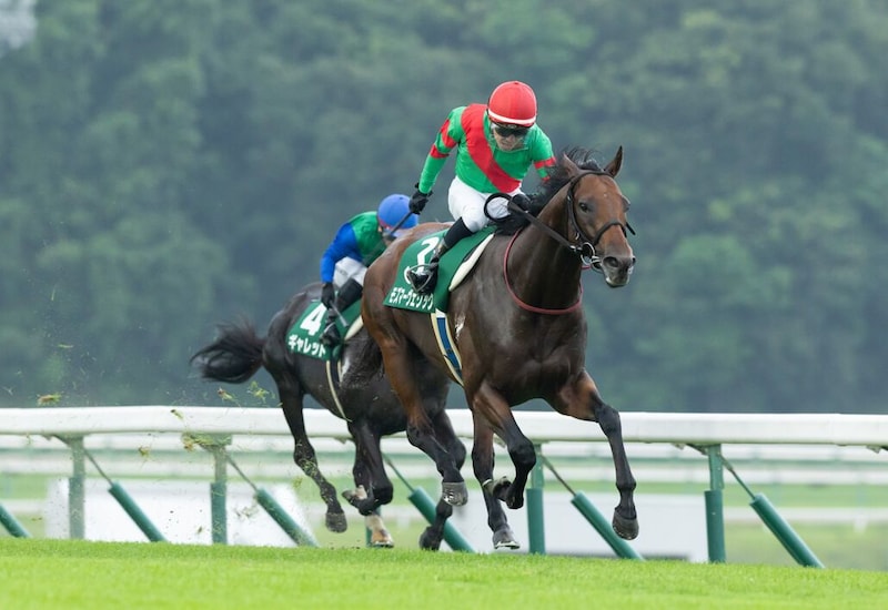 【盛岡・OROカップ見どころ】元JRA馬ヴィクティファルスが初の盛岡芝へ…モズマーヴェリックは重賞連勝狙う