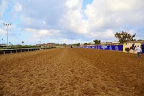【パシフィッククラシック】フィンガーが米G1挑戦！戸崎圭太とのコンビでデルマーのダート2000mへ