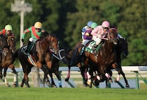 【盛岡・OROカップ】11番人気シンボが大金星！元JRA馬ヴィクティファルスの猛追しのぎクビ差V