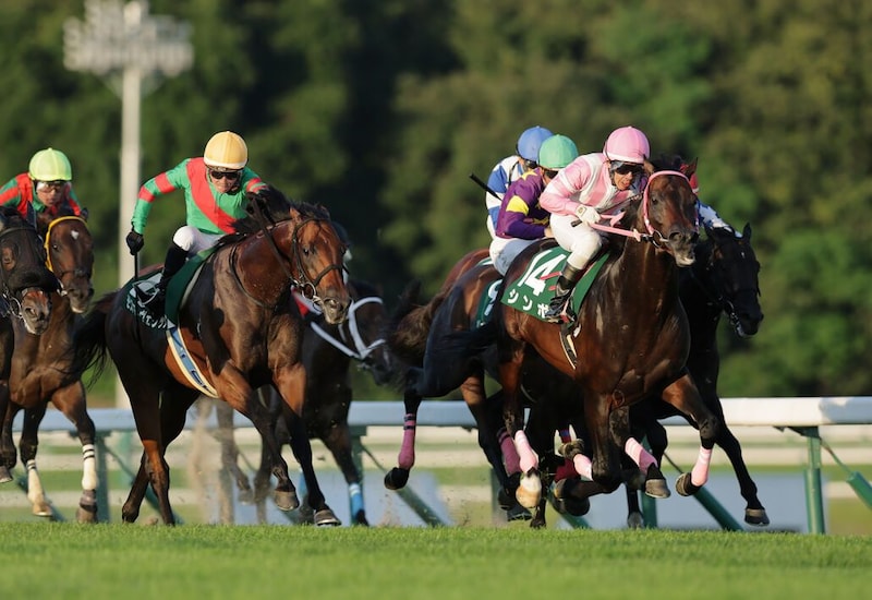 【盛岡・OROカップ】11番人気シンボが大金星！元JRA馬ヴィクティファルスの猛追しのぎクビ差V