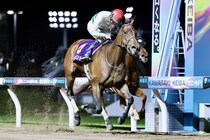 【ブリーダーズGC】3歳牝馬ペンダントなどJRA勢5頭が参戦へ…門別で牝馬のダート女王争い