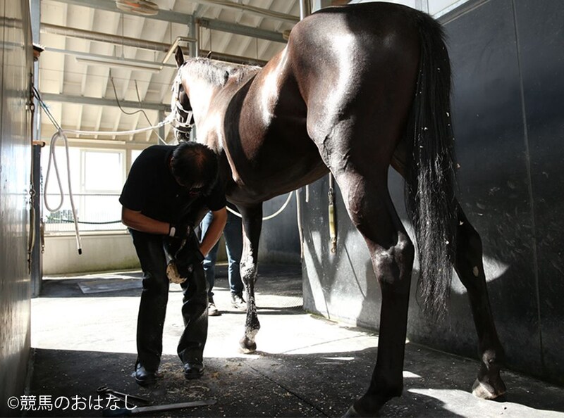 【装蹄師・西内荘コラム】秋競馬へ気持ちも引き締まる季節