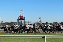 【午年にちなんで】モータースポーツと馬の意外な関係性……インディチャンプの子供たちにご注目