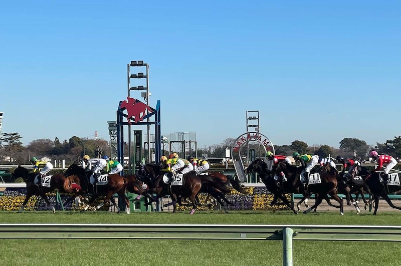 【午年にちなんで】モータースポーツと馬の意外な関係性……インディチャンプの子供たちにご注目