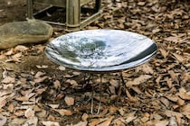 ＜終了＞【最大61％OFF】コールマンの名品がずらり！テントも焚き火台もAmazonスマイルSALEでお得に