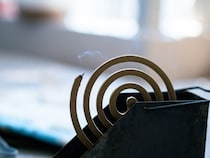 蚊取り線香おすすめランキング｜キャンプ・アウトドア向け厳選