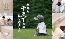 DOD『干支Tee』2027年モデル登場！シリーズ初のペット用で愛犬・愛猫とリンクコーデ