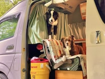 ワンコ旅歴20年！愛犬も飼い主も笑顔になれる3つの『車中泊ルール』