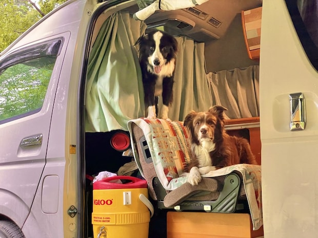 ワンコ旅歴20年！愛犬も飼い主も笑顔になれる3つの『車中泊ルール』