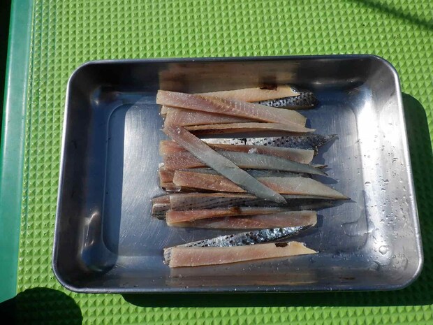 支給されたテンビン釣りの餌のコノシロの短冊 ©釣りビジョン