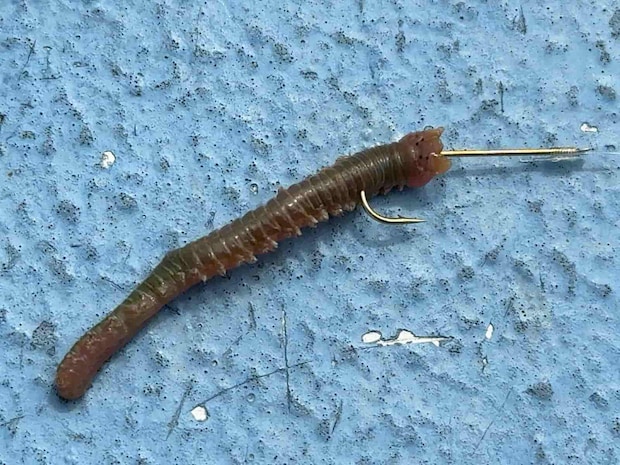 船長のエサの付け方をリーク！ &copy;釣りビジョン