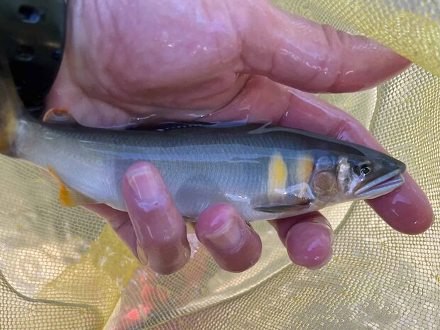 すっ飛んでひったくるアタリはサイコー！ &copy;釣りビジョン