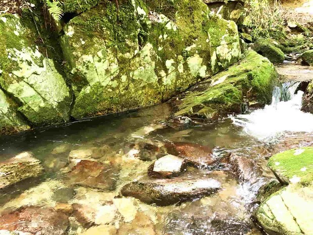 ここだ、ここに届いた時だった。 ©釣りビジョン