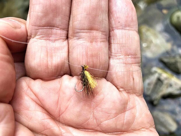 瀬や虫ではない、空を読んだフライだ。 &copy;釣りビジョン