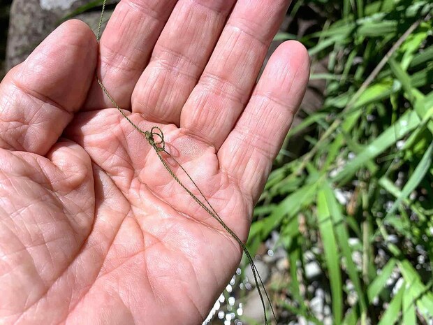 油断するともつれた、なかなか解けなかった。 &copy;釣りビジョン