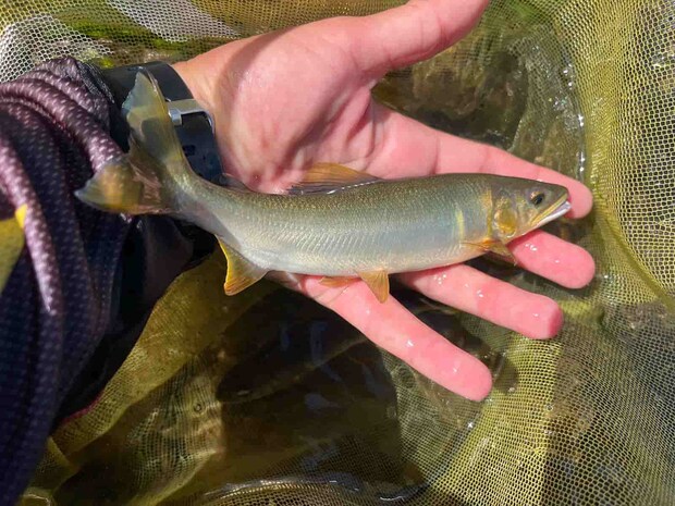 サイトで釣れた1尾目！ ©釣りビジョン