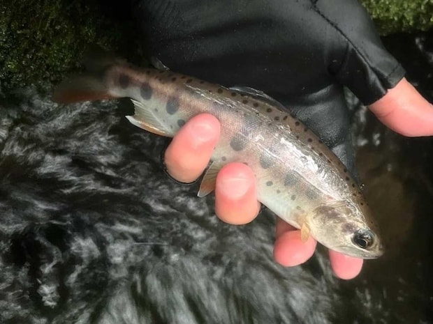 うーん、美しい。&copy;釣りビジョン