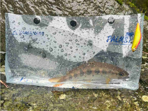 山波商店とパームスのコラボアイテム「キャプチャー」。魚の観察や撮影に重宝している。&copy;釣りビジョン