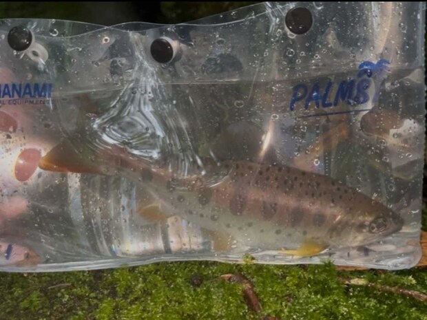 さらに愛でる。&copy;釣りビジョン