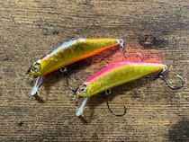 狩野川水系で渓流ルアーフィッシング！【営業担当・三浦のガチンコ釣行記】