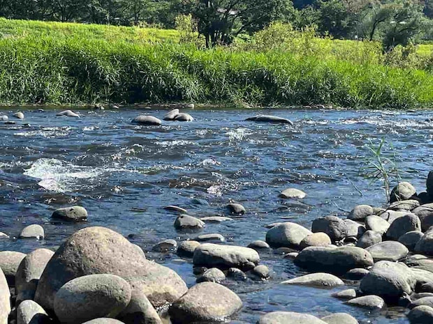 更に下流へ！シラ泡脇で反応が良いぞ！ &copy;釣りビジョン