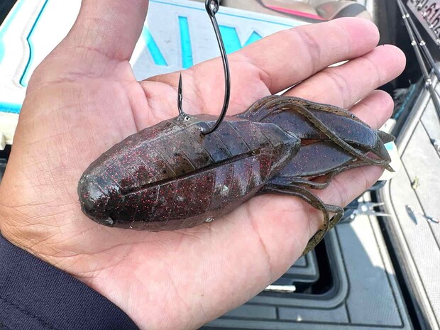 午前中に大爆発したキングドリフトクロー。プラグのスリックベイトは岩盤などに当てて、音でアピールするのに対し、こちらはスキッピングでオーバーハングの奥まで入れて使用。明確に使い分けていた。 ©釣りビジョン