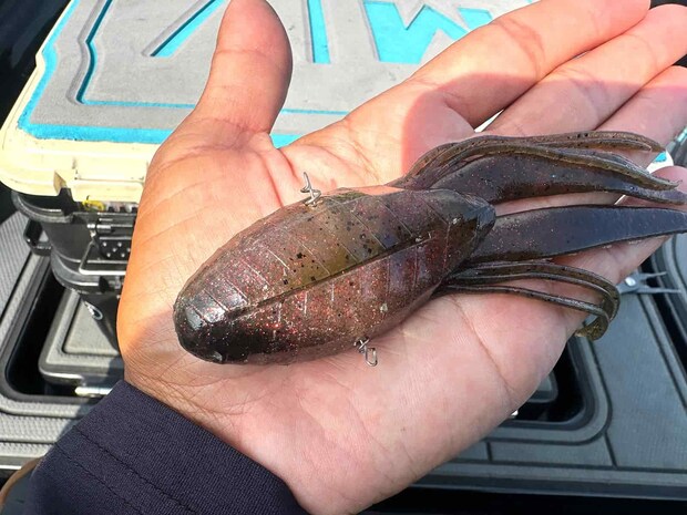 ワームのボディにはコイルを挿入。その部分にフックをセットする事でのズレを防止し、耐久性を高めている。 ©釣りビジョン