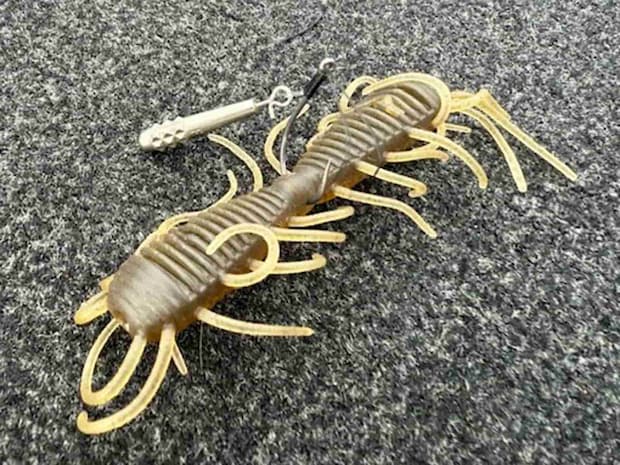 メインパターンは、ムシ系ワーム“ビッグ2WAY エラストマー”をセットしたリーダーレスダウンショットリグのスイミング。これをレイダウンに沿って通し、怒涛の爆釣劇を繰り広げていく。 &copy;釣りビジョン