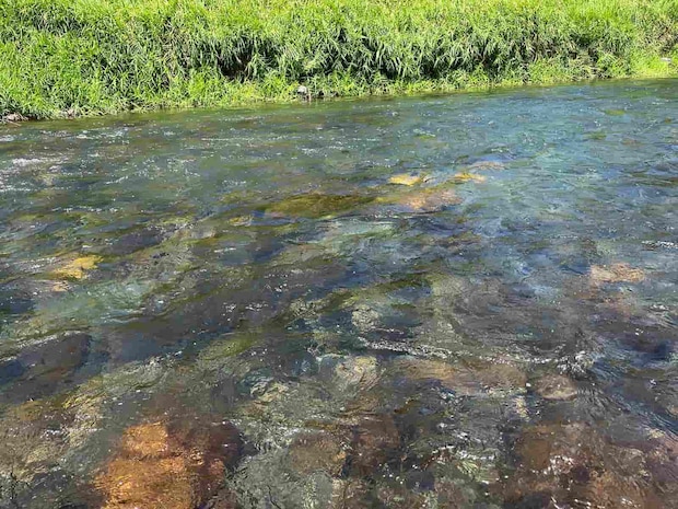 下流は上流に比べ石色が断然良い！この石色の良いポイントを見つけることが釣果を伸ばした。 &copy;釣りビジョン