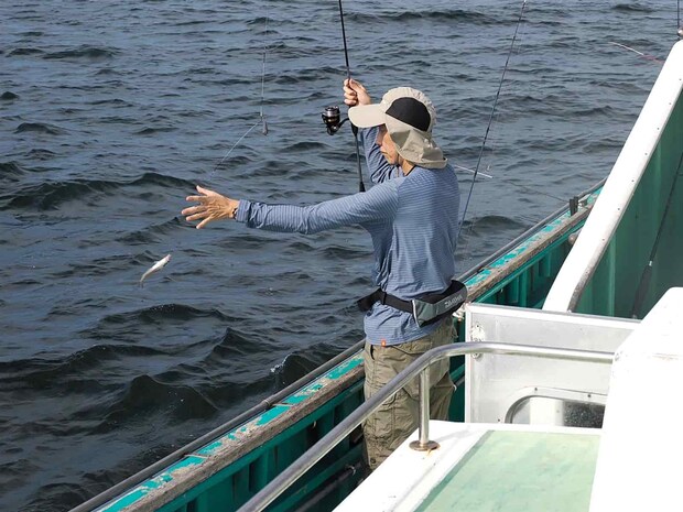 上手く誘いを掛けるとアタリが多くなる。 &copy;釣りビジョン