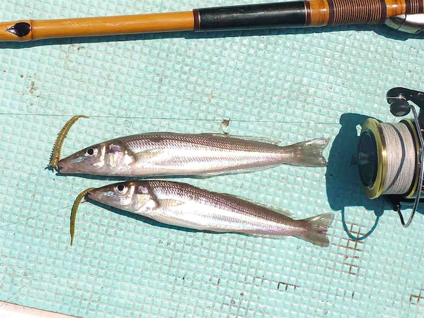 色を変えてもこの通り。楽しい。 &copy;釣りビジョン